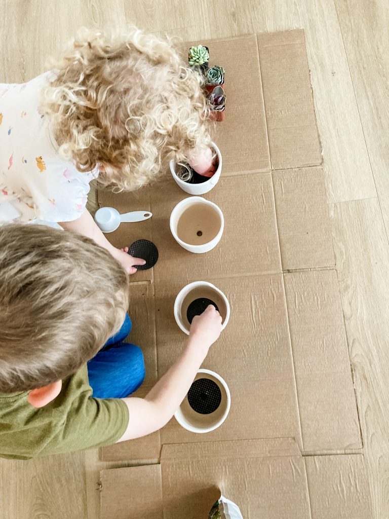 birds eye view of boy and girl inserting black screen into white succulent pots