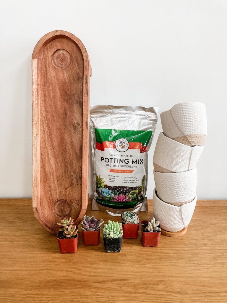 supplies for table centerpiece are wooden tray, five small succulents, potting soil bag, four ceramic pots in front of white wall 