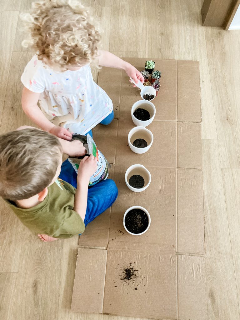 birds eye view of boy and girl putting potting mix into white pots on brown floor next to succulents